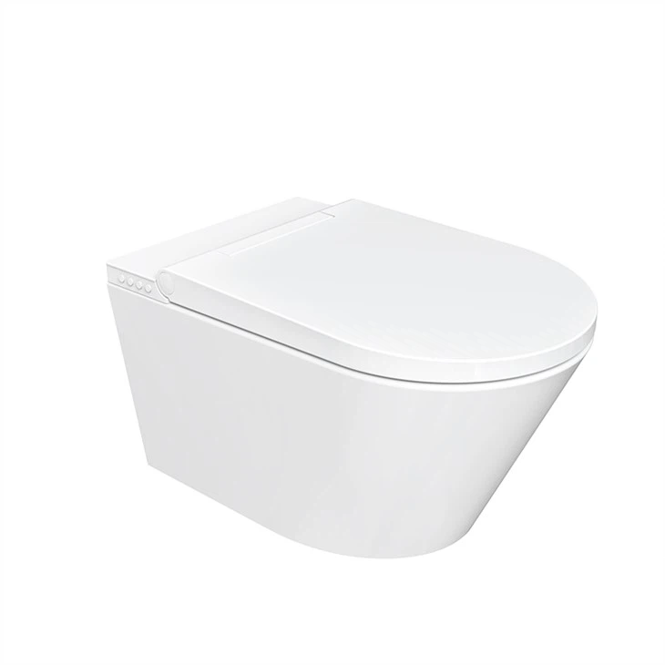 smart wc toilet