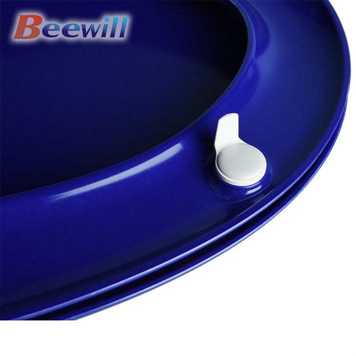 royal blue toilet lid